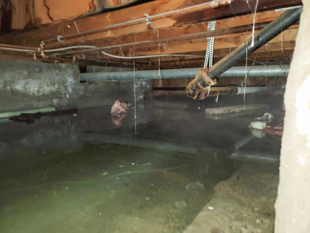 Best Storm and Flood Water Damage Restoration in Sarand, AL